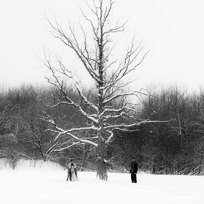 The Visit
